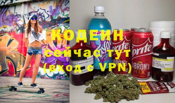 прущий лед Алзамай