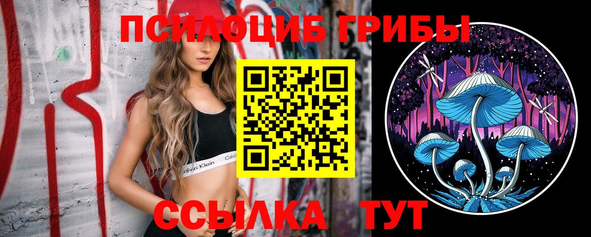 Галлюциногенные грибы Cubensis  Галлюциногенные грибы мицелий  Сарапул  Вход с VPN 