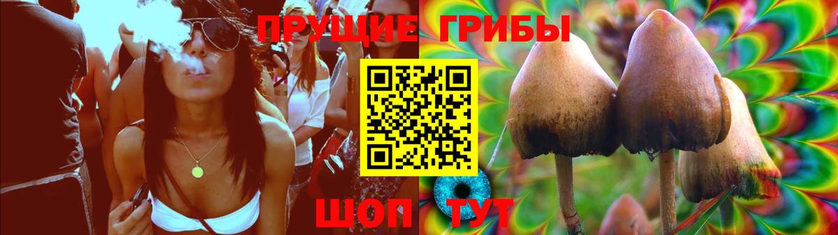Галлюциногенные грибы MAGIC MUSHROOMS Сарапул